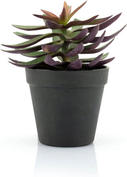 By-Boo Kunstplant Succulent - 1