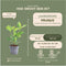 Plants by Frank | 1 strekkende meter laurierkershaag | 6x Prunus laurocerasus 'Rotundifolia' Ø12 cm - 20 cm | winterharde haagplanten | Groenblijvende haag | Tuinplanten | Planten