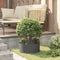vidaXL - Tuinplanter - Zwart - 40x40x20 - cm - Staal
