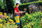 Gloria Haus und Garten 000099.0000 - Drukspuit Prima 8 - 8 liter - 3 bar