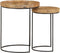 vidaXL - 2-delige - Salontafelset - massief - mangohout - en - staal