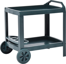 vidaXL - Dranktrolley - 69x53x72 - cm - kunststof - groen