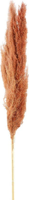 PTMD Dried Twig Pampas Gras - 65 x 7 x 110 cm - 3 stuks - Rood/Bruin