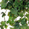 Mica Decorations - Hedera Kunst Hangplant - H71 cm - Groen