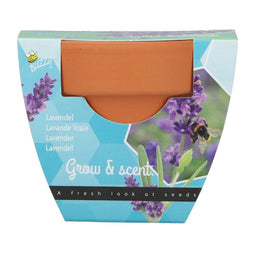 Buzzy - Grow gifts kweekset groeicadeautjelavendel