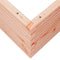 vidaXL - Plantenbak - 100x100x46 - cm - massief - douglashout