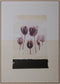 Schilderij Tulp 100 x 4 x 140 cm