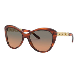 Zonnebril Dames Ralph Lauren RL8184-500718 ø 56 mm
