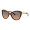 Zonnebril Dames Ralph Lauren RL8184-500718 ø 56 mm