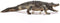 Schleich WILD LIFE - Alligator - Speelfiguur - 3 tot 8 jaar - 14727
