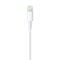 Apple MD819ZM/A - Lightning naar USB Kabel - 2m Wit