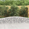 vidaXL - Schanskorven - 6 - st - gewelfd - 400x50x40/60 - cm - ijzer