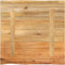 vidaXL - Tafelblad - met - natuurlijke - rand - 40x40x3,8 - cm - massief - mangohout