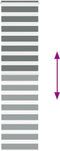 vidaXL - Zebra - rolgordijn - 55x200 - cm - stofbreedte - 50,9 - cm - donkergrijs