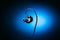Razer Moray - In-ear monitor - Hybride dual-driver - Zwart