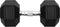 vidaXL - Halters - 20 - kg - gietijzer