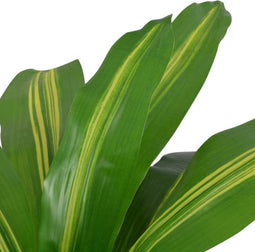 vidaXL - Kunst - dracena - plant - met - pot - 90 - cm - groen