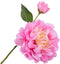 Silk-ka Kunstbloem-Zijden Bloem-Pioen Tak Zijde Roze-Geel 60 cm