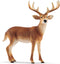 schleich WILD LIFE - Witstaarthert - Speelfiguur - Kinderspeelgoed voor Jongens en Meisjes - 3 tot 8 jaar - 14818