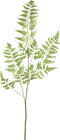 PTMD Fern Plant Varen Kunsttak - 60 x 30 x 111 cm - Lichtgroen