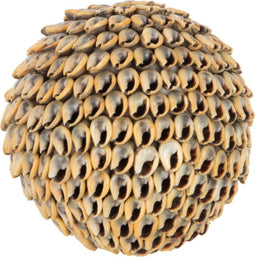 J-Line decoratie Bal Noa - schelpen - bruin - small - 2 stuks