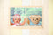 BABY born Beer - Blauw - Knuffel