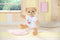 BABY born Beer - Wit - Knuffel