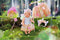 BABY born Fantasy Great Value Set