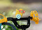 BABY born Fiets - Poppenvervoersmiddel
