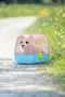 BABY born Puppy Lucky - Hondje met bench