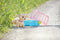 BABY born Puppy Lucky - Hondje met bench