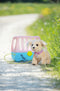 BABY born Puppy Lucky - Hondje met bench
