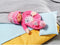 BABY born - Sleepy - Roze met Hondopdruk - Babypop - 30 cm