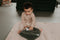 Baby Boxkleed 75 x 95 - Speelkleed 100% biologisch katoen - Speelmat Desert Sand - Bruin - Snoozebaby