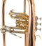 Bach Bugel FH501