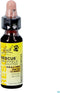 Bach Rescue Remedy Pets Druppels - Dieren Antistressmiddel - 10 ml