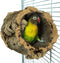 Back Zoo Nature Trunkhut S