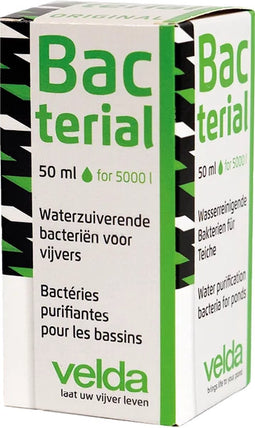 Bacterial 50 ml