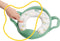 Badabulle Groen Toiletverkleiner met Handgrepen B027008