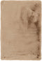 Badematte Rabbit 425 Beige 65× 100cm - Neutral Chic Area Rug