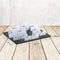 Badge uitdeelplateau Europel - 15 sleuven - 39 x 29 cm - voor badges en bedrijfskaartjes