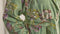 Badjas Pip Studio Secret Garden - Green