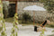Bali parasol - crème 250 cm