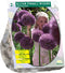 Baltus - Allium Pinball Wizard per 2 bloembollen