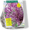 Baltus - Allium Purple Rain per 15 bloembollen