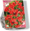 Baltus - Bees & Butterflies Tulipa Linifolia per 30 bloembollen