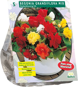 Baltus - Bloembollen Begonia Dubbel Mix per 5