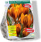 Baltus - Crocus Orange Monarch per 20 bloembollen