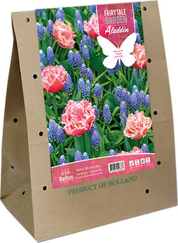 Baltus - Fairytale Garden Aladdin bloembollen