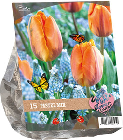Baltus - Urban Flowers Pastel mix per 15 bloembollen